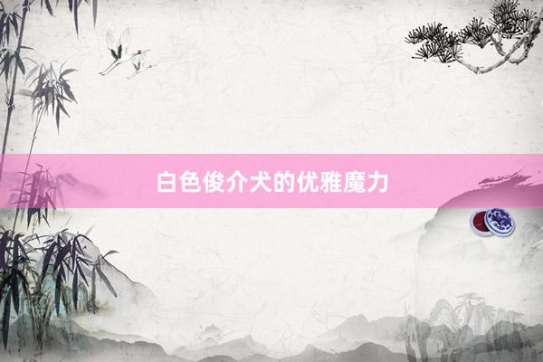 白色俊介犬的优雅魔力