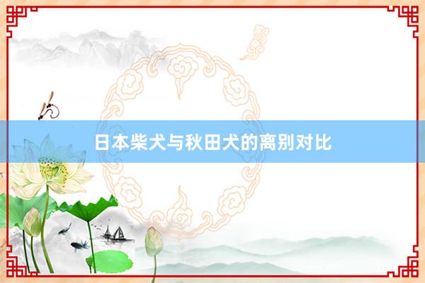 日本柴犬与秋田犬的离别对比